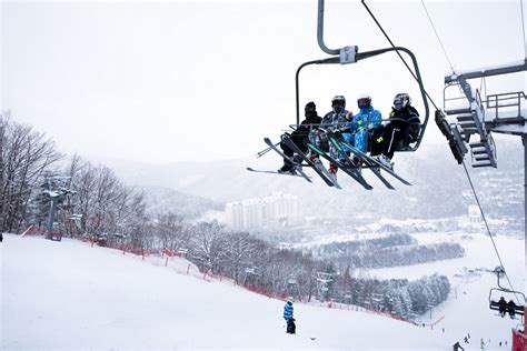 스키 시즌 - 시즌 스키장 오픈 정보 12/29 갱신 스키 스노우